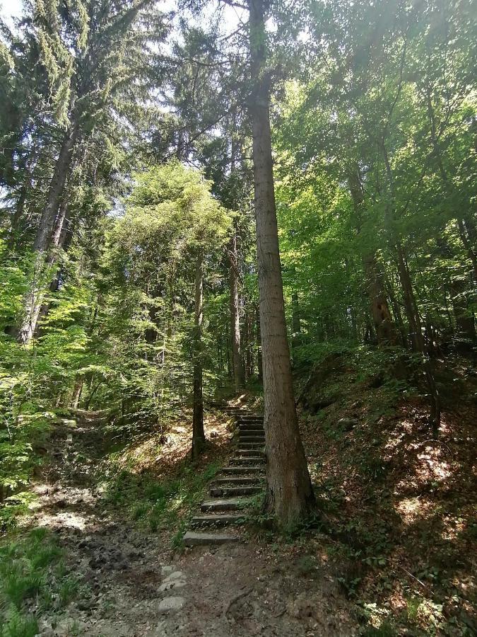 Petkovi Аpartments, Borovets Gardens - One-Bedroom And Two-Bedroom Apartments 외부 사진
