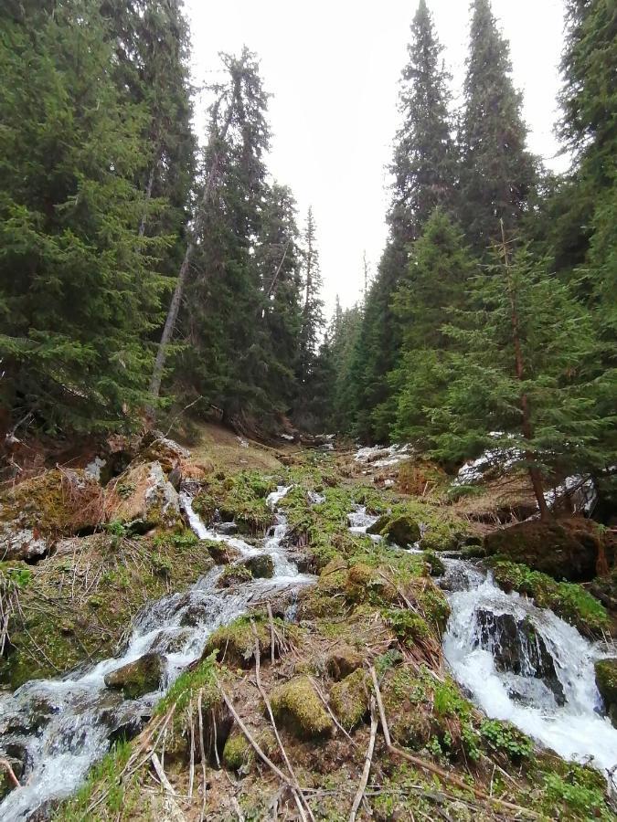 Petkovi Аpartments, Borovets Gardens - One-Bedroom And Two-Bedroom Apartments 외부 사진