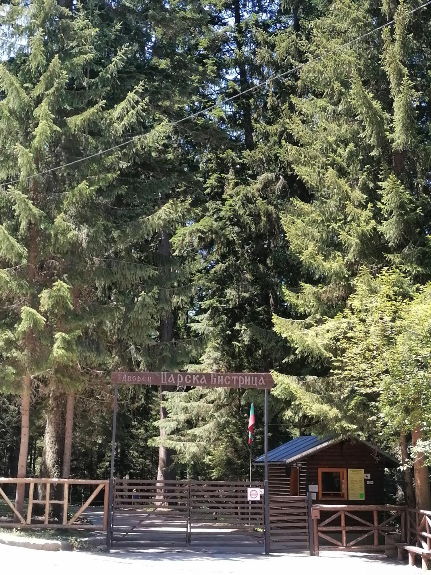 Petkovi Аpartments, Borovets Gardens - One-Bedroom And Two-Bedroom Apartments 외부 사진